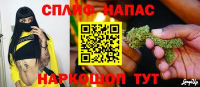 ПСИЛОЦИБИНОВЫЕ ГРИБЫ Заводоуковск